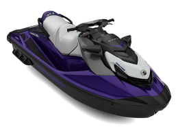 Midnight Purple